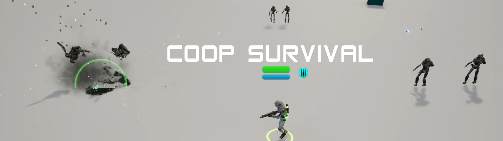 Coop Survival in ROBA