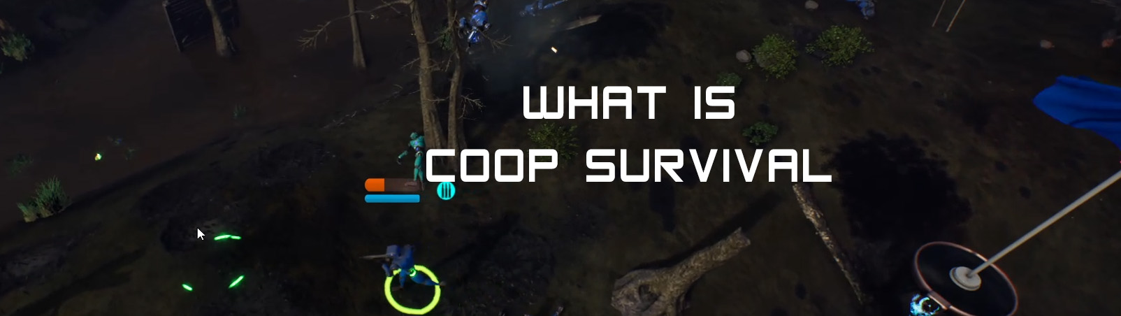 What is Coop Survival?